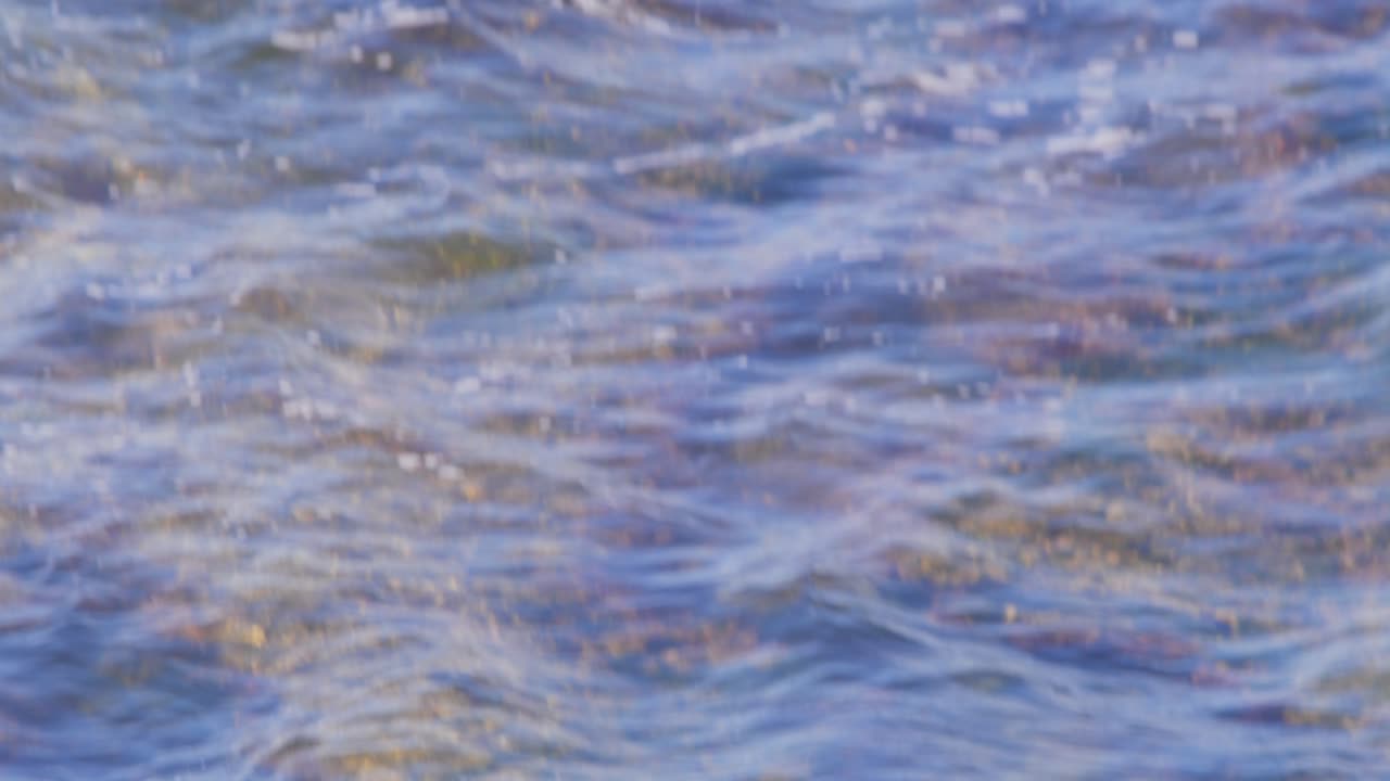 메일은  ⁇ 수염으로 해변에 있는  ⁇ 데기를 들고 그것을 깨기 위해 떨어뜨리고 그 위에 착륙합니다.