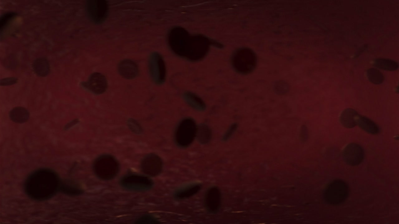 Flowing Blood Cells – Medical Science Animation