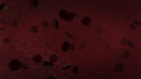 flowing blood cells – medical science animation
