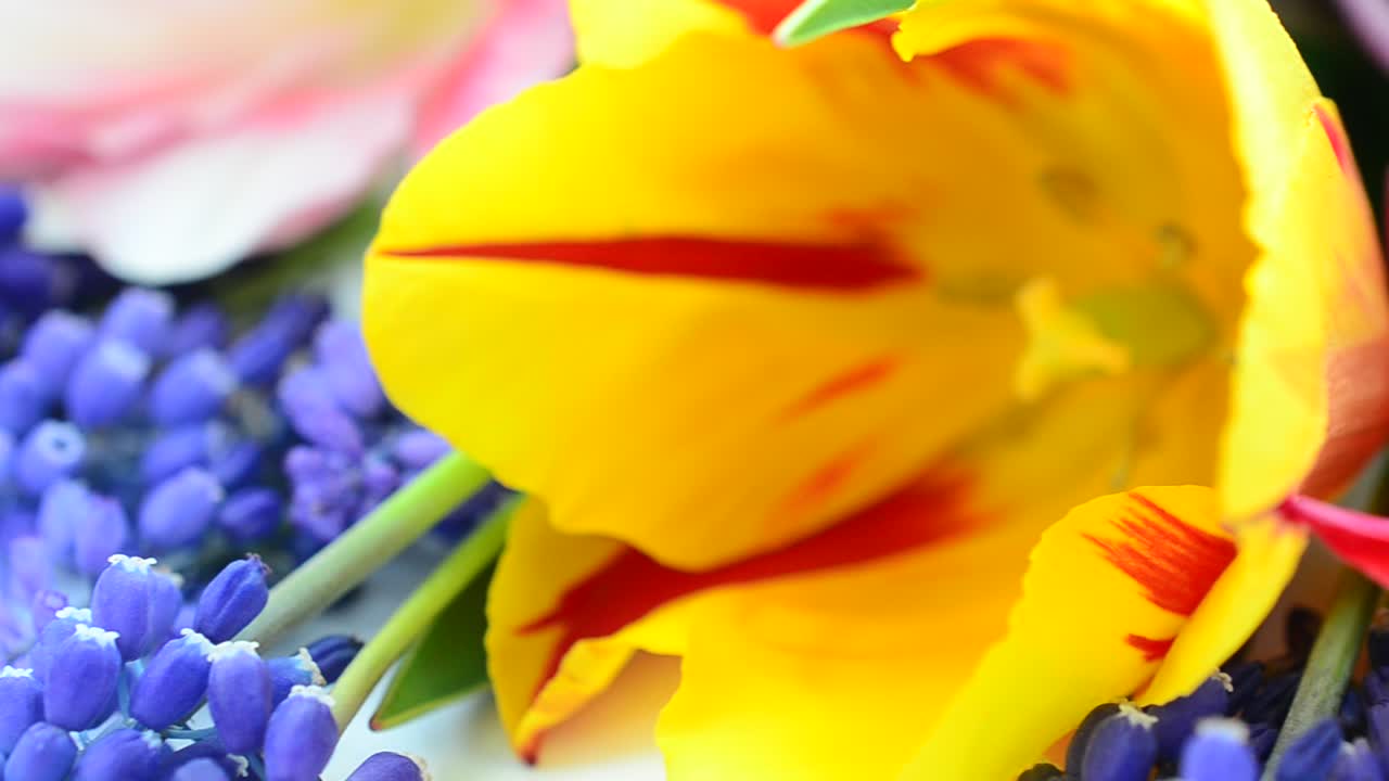 Spring bouquet. Shooting on a white background