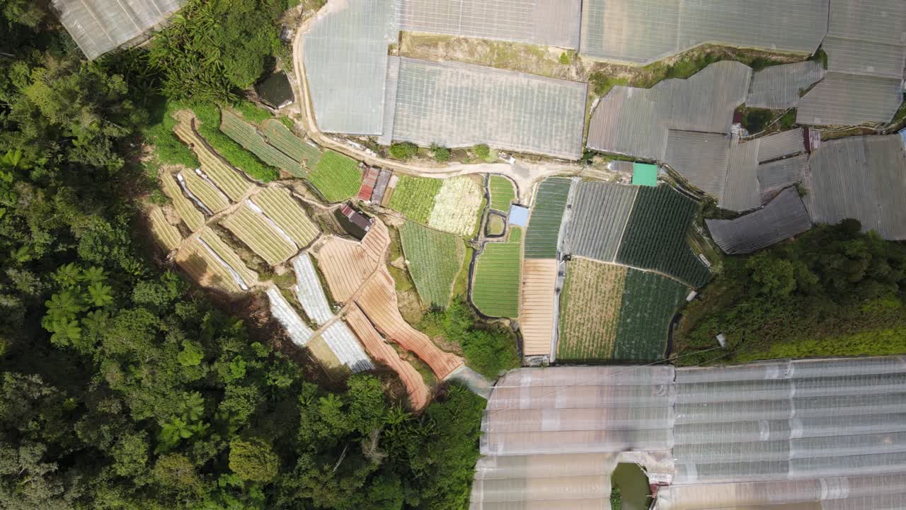 말레이시아의 카메론 하이랜드 지역 내의 브린창 지역의 일반 풍경