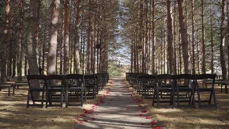 Romantic-outdoor-pine-tree-park-forest-wedding-ceremony-venue,-camera-moving-down-the-isle