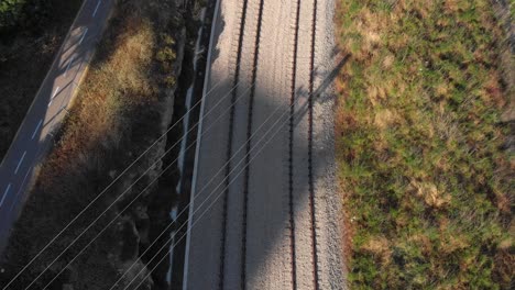 train tracks in urban park