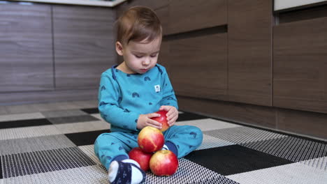 focused baby boy looking at the apples in front of him. adorable toddler sitting on the floor indoors with a pile of red fruit. kid pulls one apple to his mouth and takes a bite.
