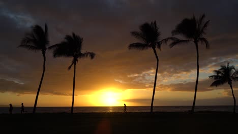 puesta de sol con palmeras en hawaii