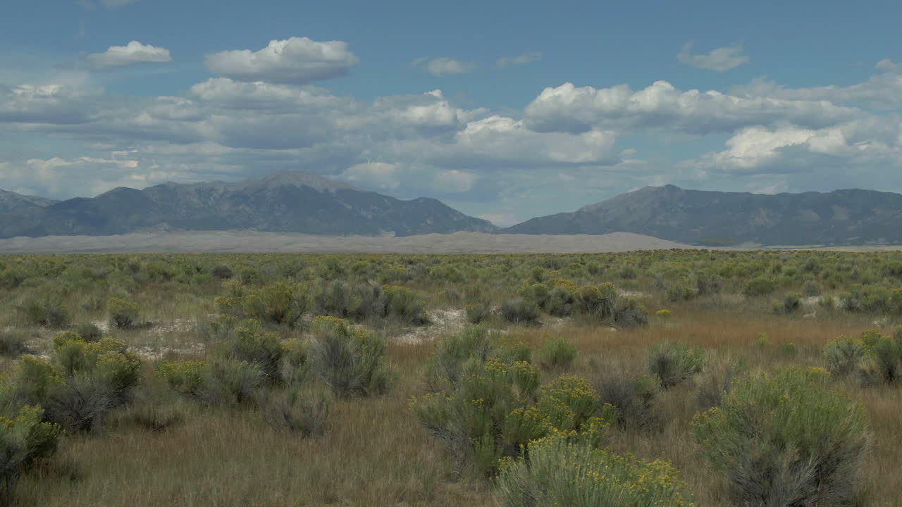 avión no tripulado cinematográfico a finales del verano vista de apertura entrada de las grandes dunas de arena parque nacional colorado montaña rocosa 14er picos nítidas doradas amarillas flores altas hierba cielo azul deslizarse hacia la derecha