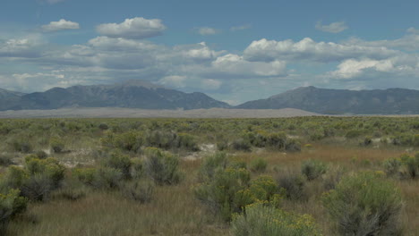 Luftkino-Drohne-Spätsommer-Öffnungsansicht-Eingang-Des-Great-Sand-Dunes-National-Park-Colorado-Rocky-Mountain-14er-Peaks-Klare-Goldgelbe-Blumen-Hohes-Gras-Blauer-Himmel-Nach-Rechts-Gleiten