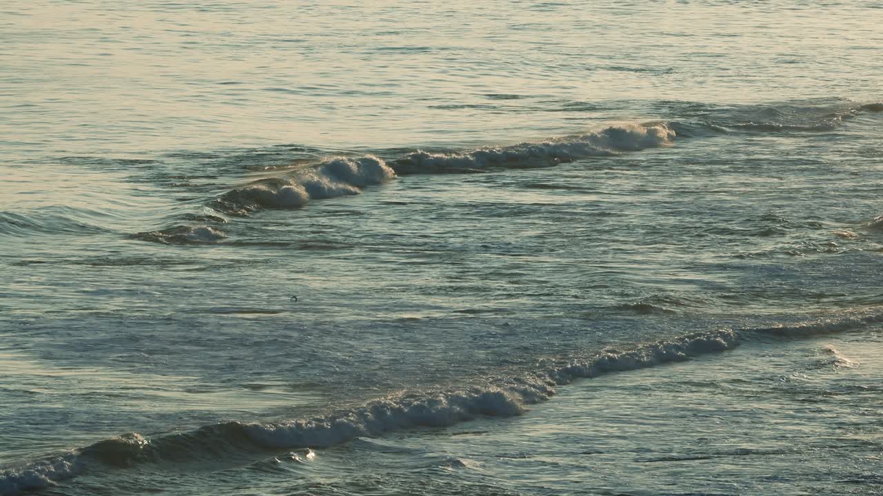 조용한 해변에서 부드러운 파도가 굴러