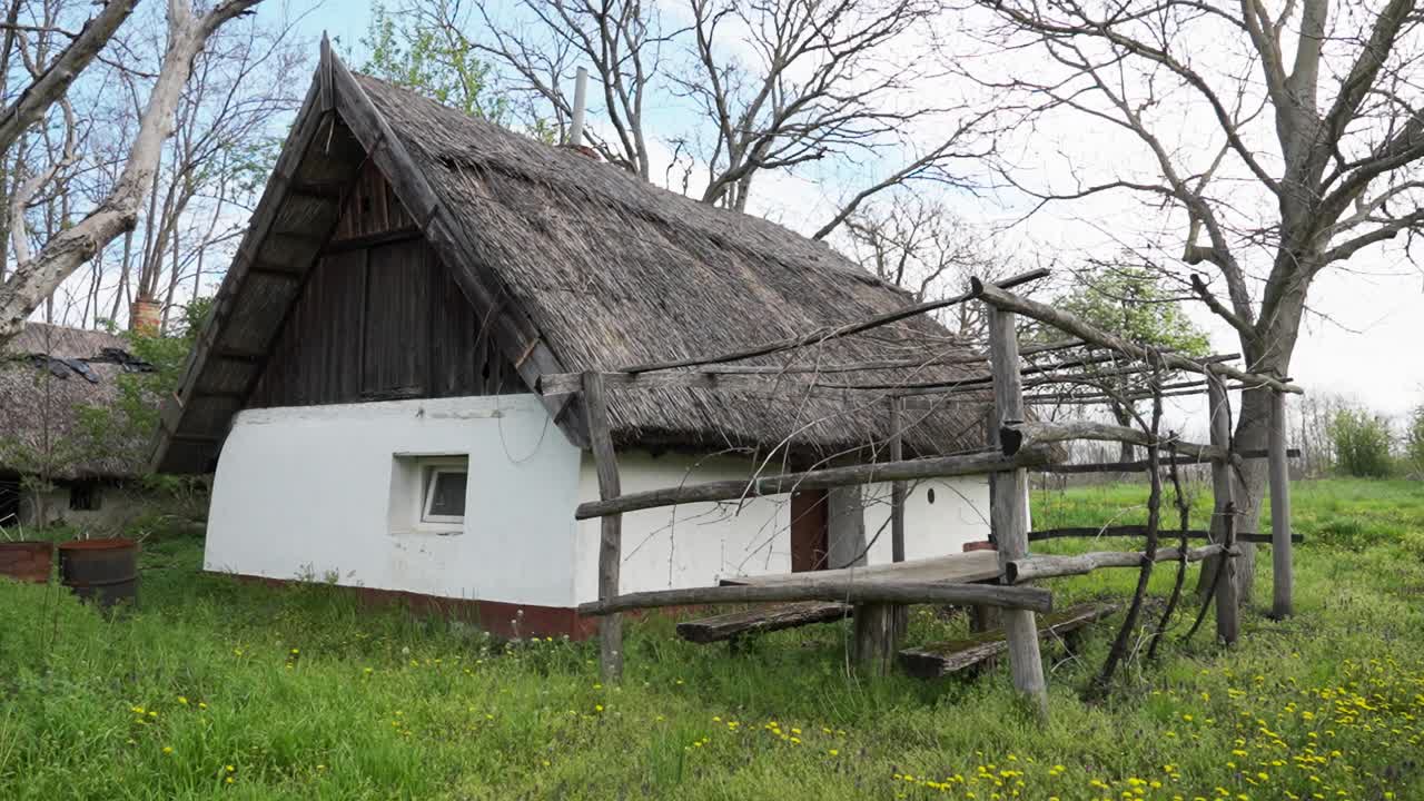 Rural cottage with thatched roof and vine pergola in spring