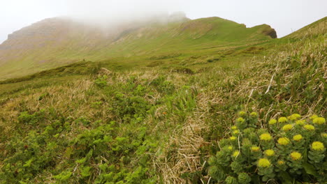 relajante paisaje natural de hornstrandir, fiordos del oeste, islandia - estático
