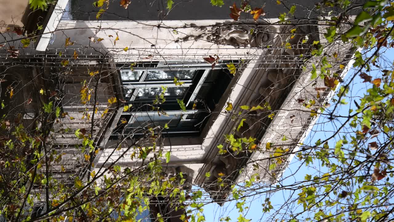 Building exterior with windows and leaves