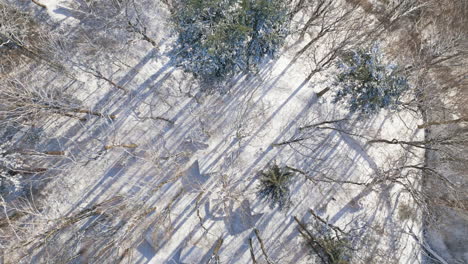 El-Dron-Se-Desliza-Sobre-Bosques-Y-Cabañas-Cubiertos-De-Nieve,-Proyectando-Largas-Sombras-En-El-Resplandor-Del-Invierno.