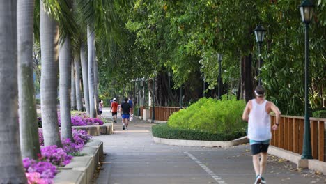 people exercising and enjoying a park pathway