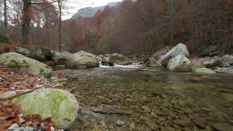 Autumn-river-in-mountain-forest-with-yellow-and-red-foliage-trees