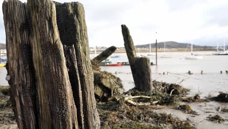 viejo muelle abandonado podrido escombros de madera en la costa del puerto de conwy