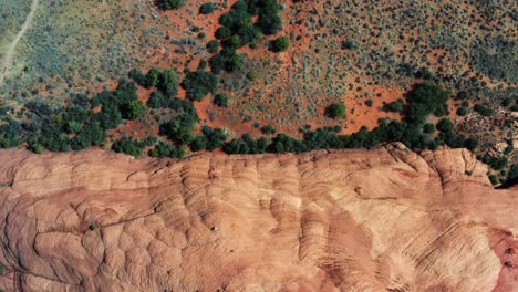 gorgeous aerial drone top bird's eye view of incredible red petrified sand dunes with green foliage in the desert of the snow canyon state park in southern utah