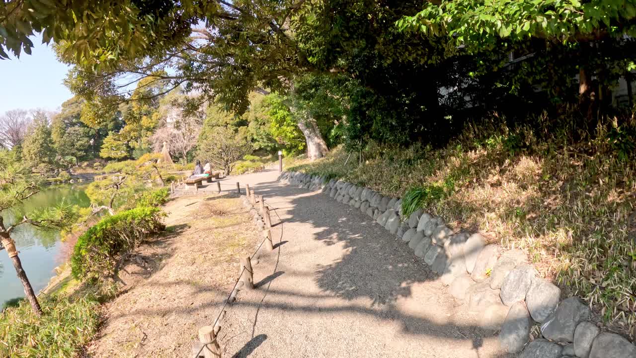 A peaceful walk along a park's pathway