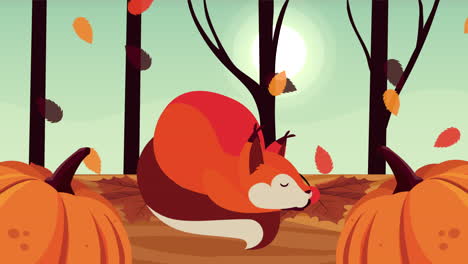 cute sleeping squirrel in autumn forest with pumpkins