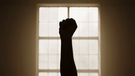 silhouette of a raised fist against a window
