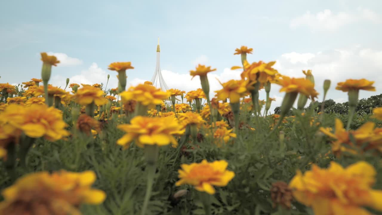 Suan Luang Park Bangkok, VLog 4K con movimento fluido del gimbal