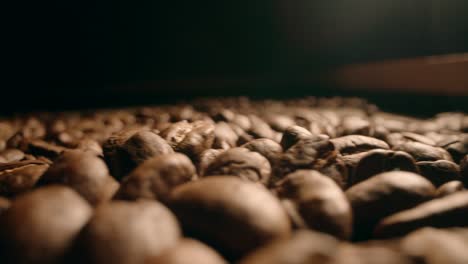 tiro macro de granos de café