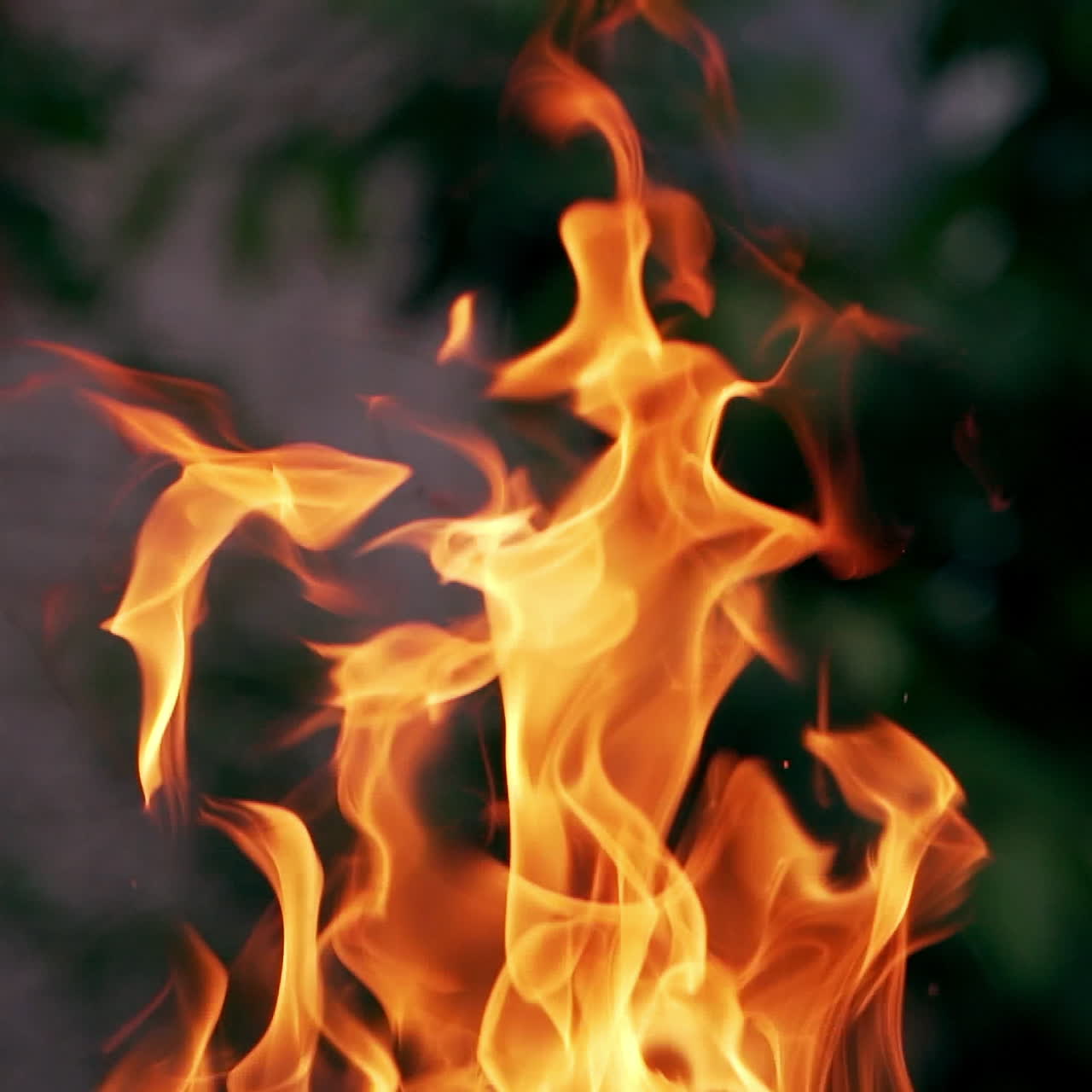 Big bonfire fire on nature background. Cozy evening in the forest outdoors. Burning wooden firewood, log, timber.