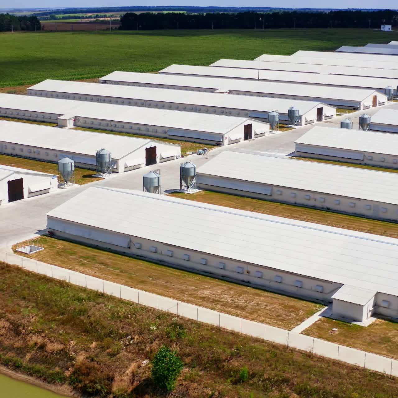 Modern white barns on field. Rows of farm houses in the rural place in summer. Camera moves forward. View from above