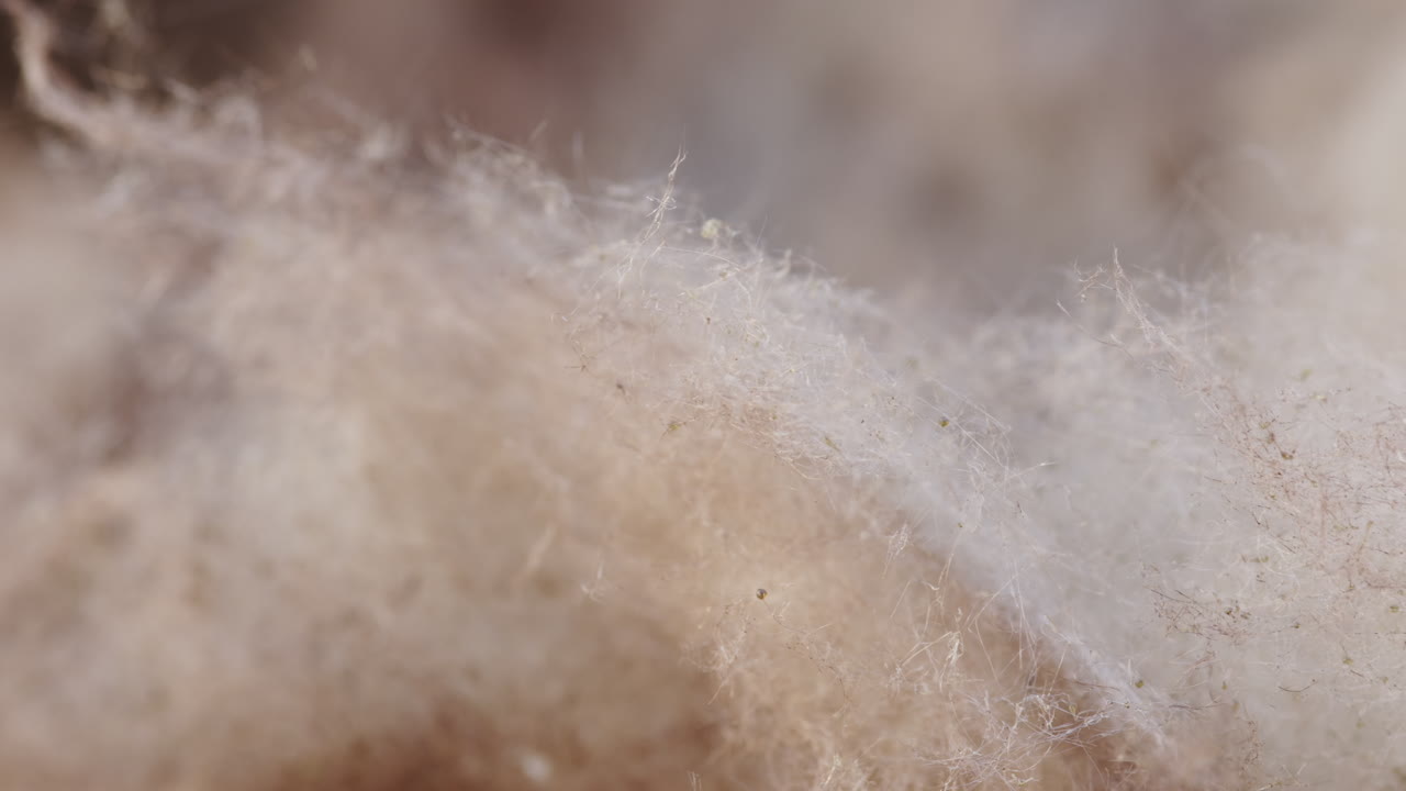 암석 양털 열 단열