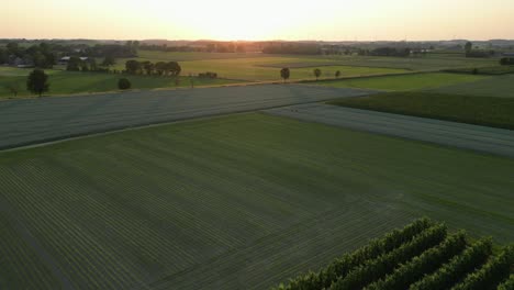 flying over a landscape with the sun at the horizon