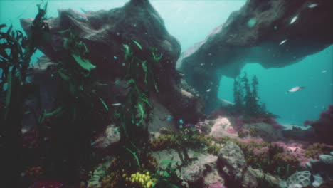 underwater scene with coral reef and fish