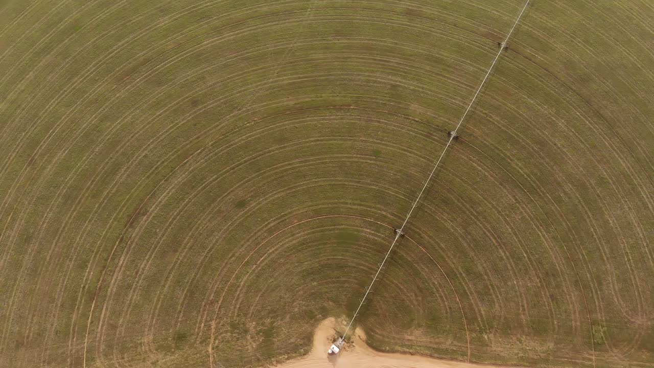 AERIAL. Circular green irrigation patches for agriculture in the desert. Dubai, UAE.
