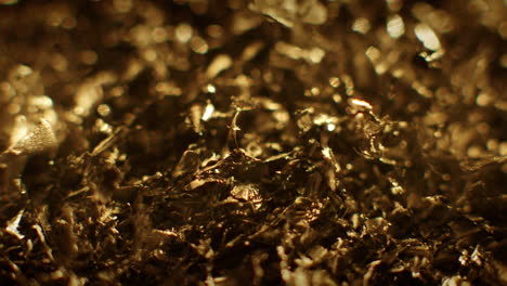 golden color metal fillings