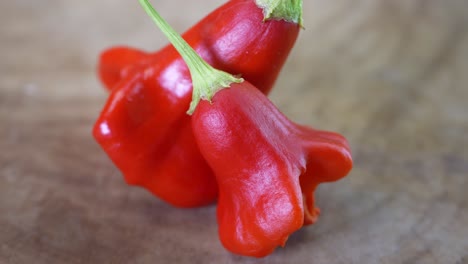 Pimiento-Del-Sombrerero-Loco,-Capsicum-Baccatum