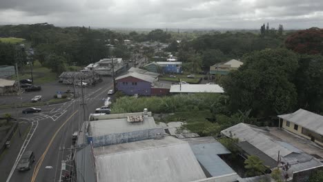 Paso-Elevado-Bajo:-Ciudad-Forestal-Verde-Y-Brumosa-De-Pahoa,-Isla-Grande-De-Hawaii