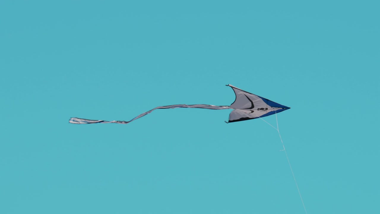 Un aquilone colorato si libra sopra le palme sotto un cielo azzurro in un pomeriggio ventoso a Cannes, in Francia