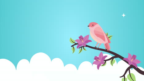 flores hermosas en la rama con animación de pájaros