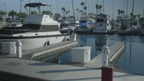 small watercraft cuts through marina