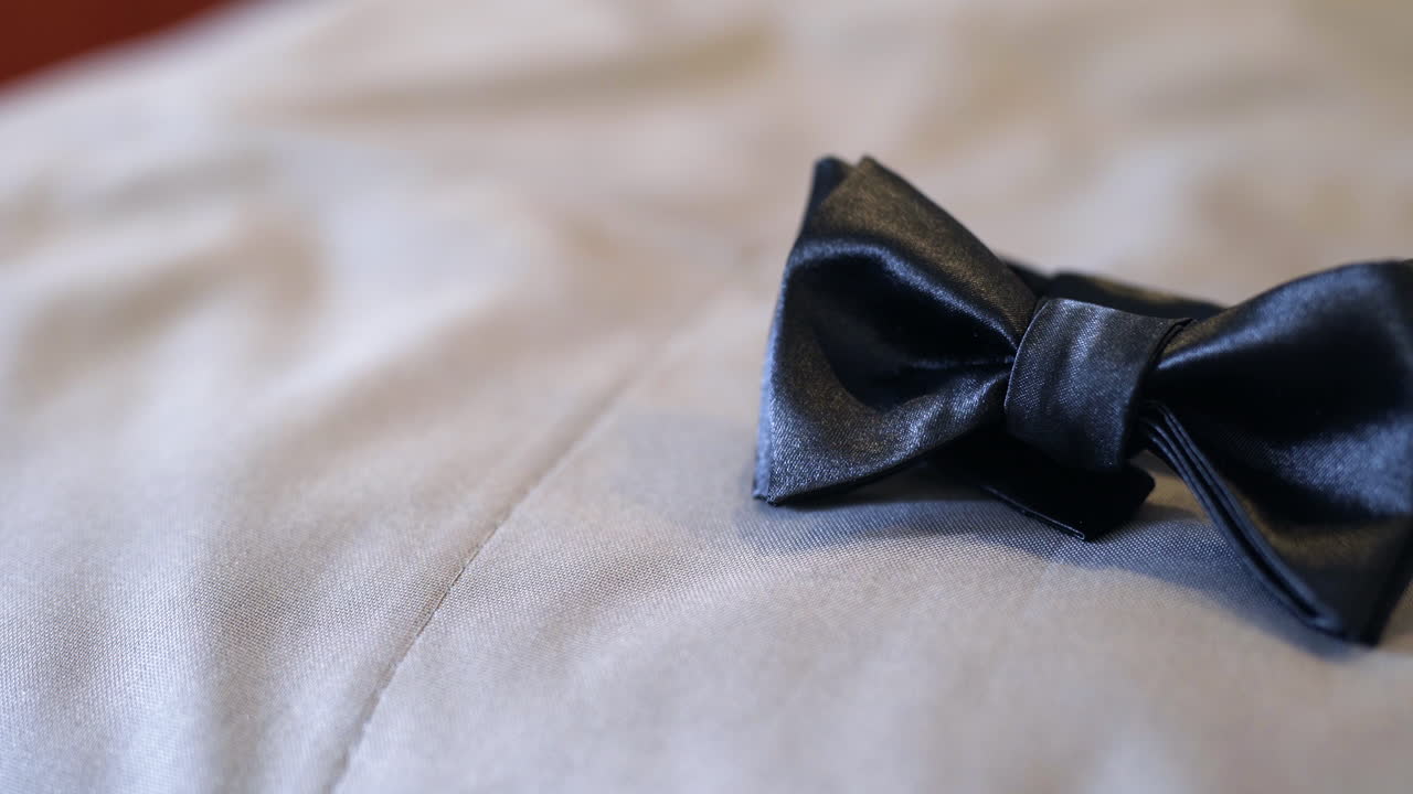 Elegante papillon nero appoggiato su tessuto formale