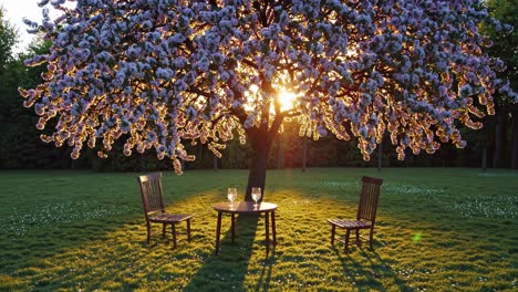 romántico picnic al atardecer bajo un árbol en flor