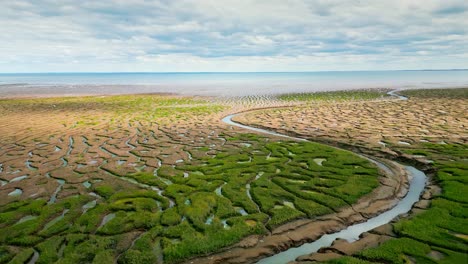 cracked mud flats in a salt marsh