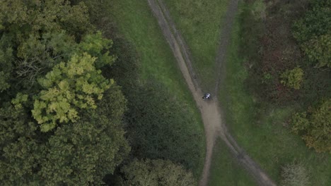 Calming-fresh-green-woodland-with-couple-walking-their-dog-along-a-path