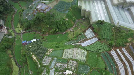 general landscape view of the brinchang district within the cameron highlands area of malaysia