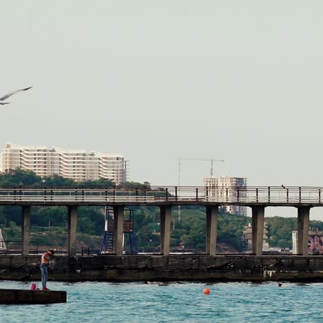 seagull flying over the water. slow motion.