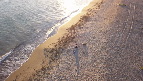 aerial view of a beach with people and a dog
