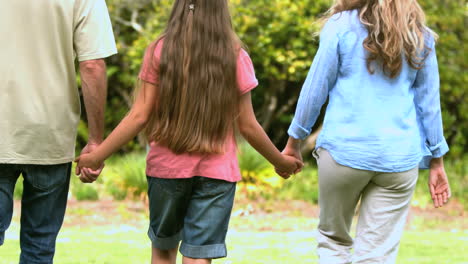 cute family walking and holding hands