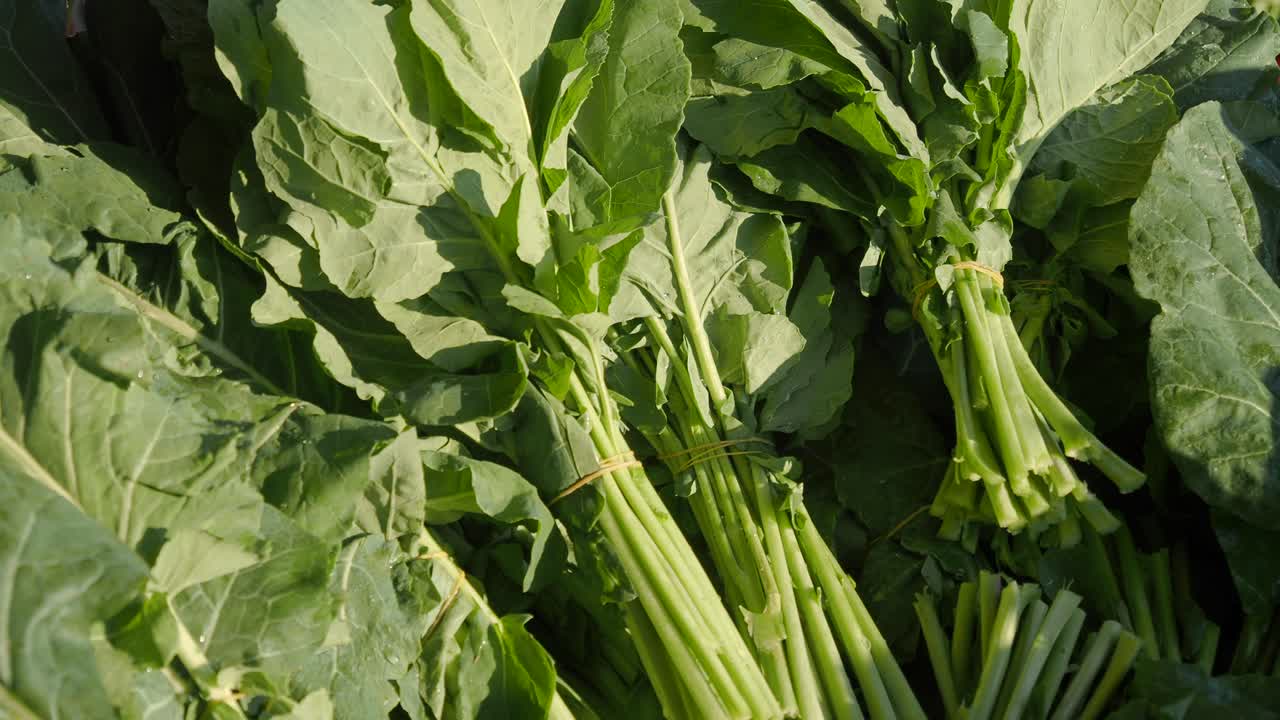 Fasci freschi di verdure a foglia verde