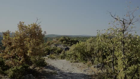 Spaziergang-Durch-Bäume-Im-Alten-Thrakischen-Heiligtum-Harman-Kaya-In-Bulgarien