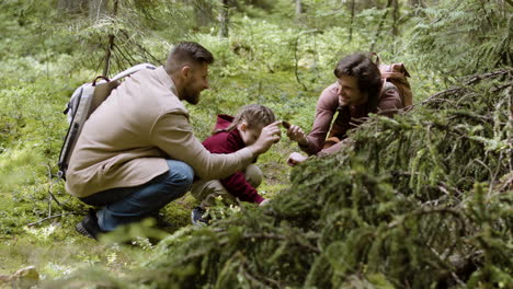 family enjoying the nature