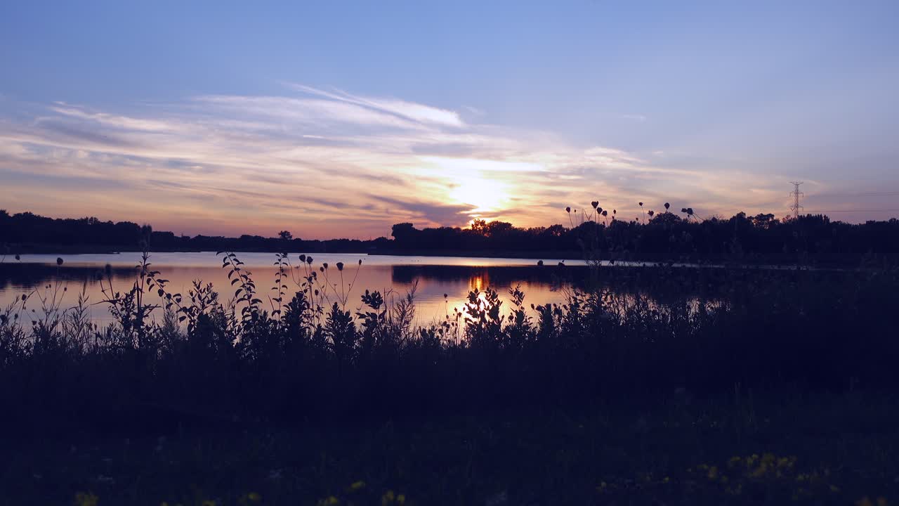 湖に沈む夕日、前景に葉のある夕方、人なし