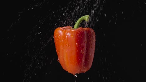 Red Bell Pepper with Water Drops